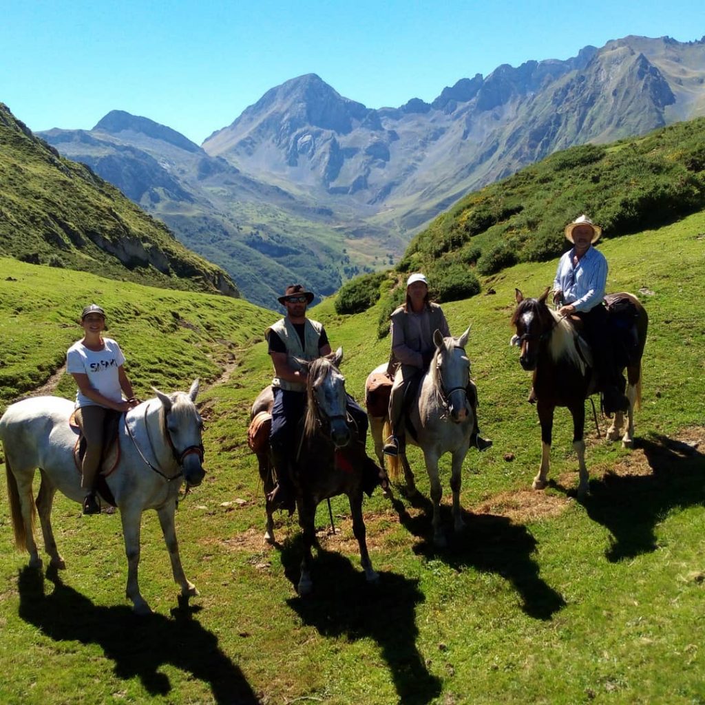 venta de caballos en asturias