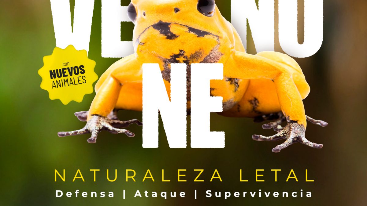 La Exposición “Veneno: Naturaleza letal” llega a BIOPARC Acuario de Xixón