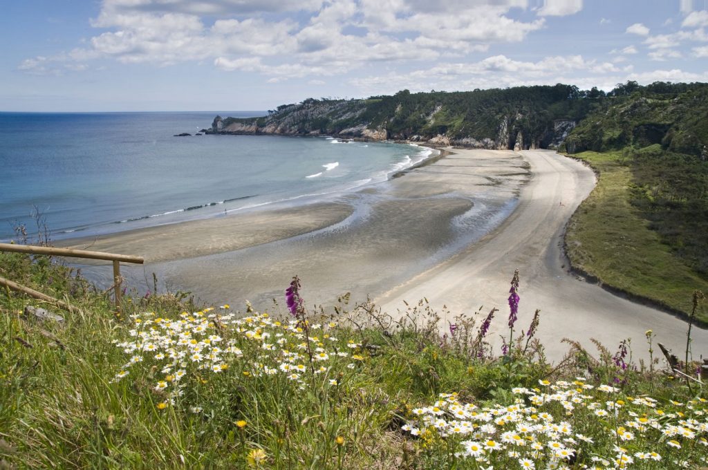 playas de barayo