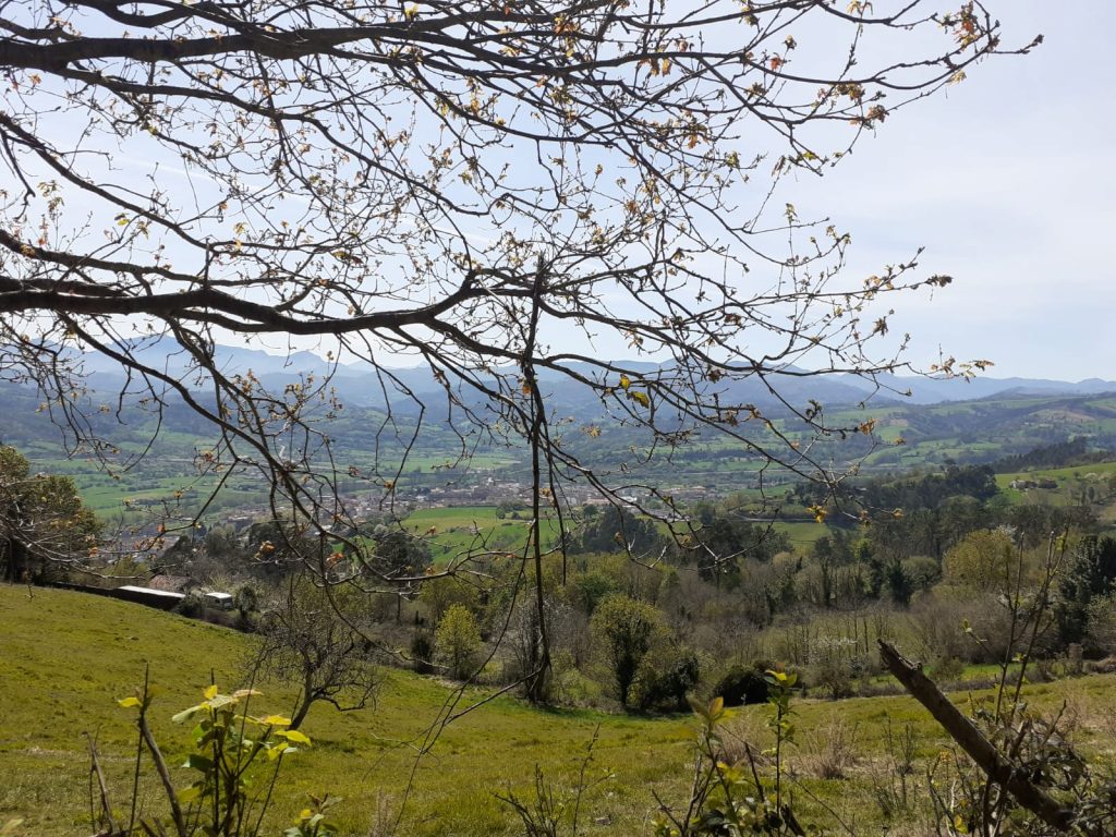 Grau naturaleza