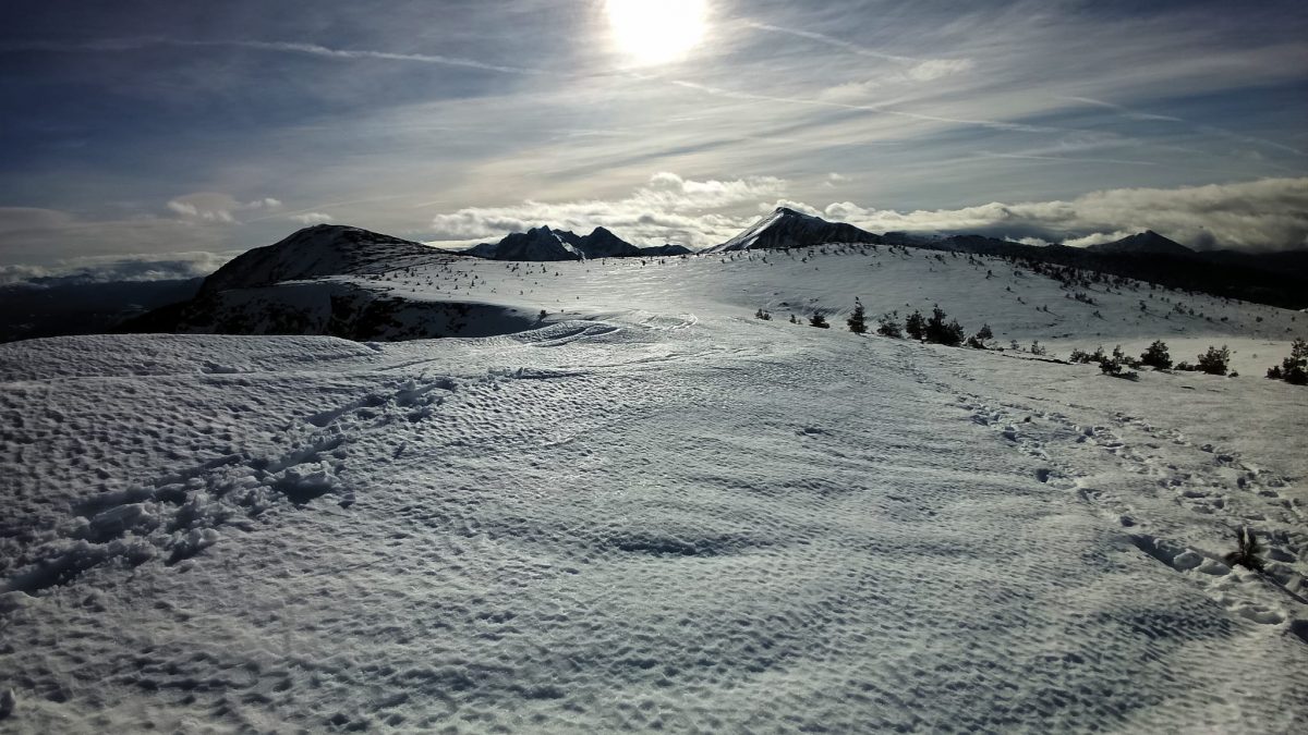 Raquetas de nieve, un plan para disfrutar