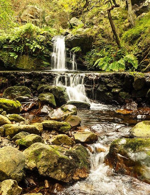 Senda de La Regueirina: naturaleza accesible en el occidente asturiano