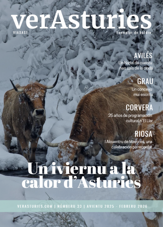 Portada 33 de ViaXast