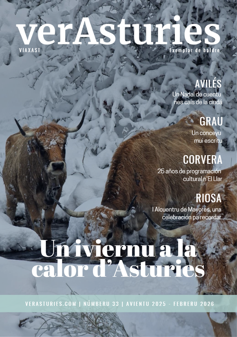 Portada 33 de ViaXast